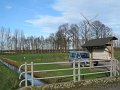 IMG_2008
