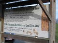 IMG_2011