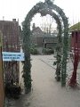 IMG_2028