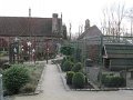 IMG_2031