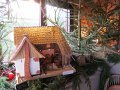 IMG_2042
