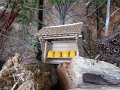 IMG_2048
