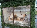IMG_2062