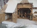 IMG_2063