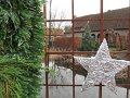 IMG_2067
