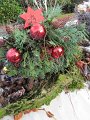 IMG_2097
