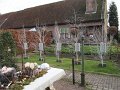 IMG_2098