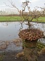 IMG_2107