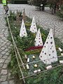 IMG_2188