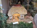IMG_2205