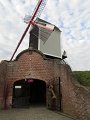 IMG_2217
