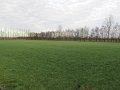 IMG_2240