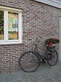 IMG_6935