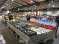 IMG_7091