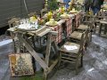 IMG_7187