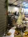 IMG_7230