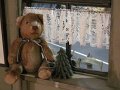 IMG_7257