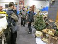 IMG_7387
