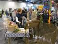 IMG_7682