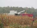 IMG_7786