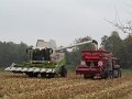IMG_7799