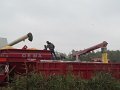 IMG_7808