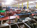 IMG_9073