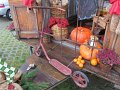IMG_9079