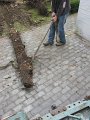 IMG_9319