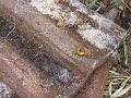 IMG_9330
