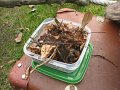 IMG_9332
