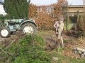 IMG_9335