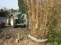 IMG_9345