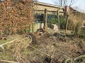 IMG_9347