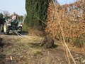 IMG_9348