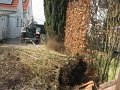 IMG_9355
