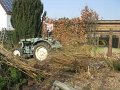 IMG_9358