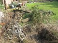 IMG_9360