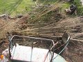 IMG_9361
