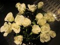 IMG_9098