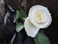 IMG_9104
