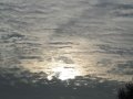 IMG_9113