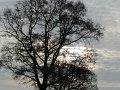 IMG_9117