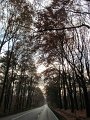 IMG_9120