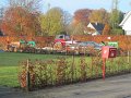 IMG_9132