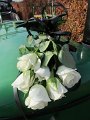 IMG_9151