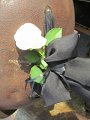 IMG_9167