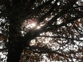 IMG_9244