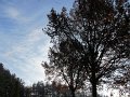 IMG_9245
