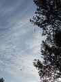 IMG_9246